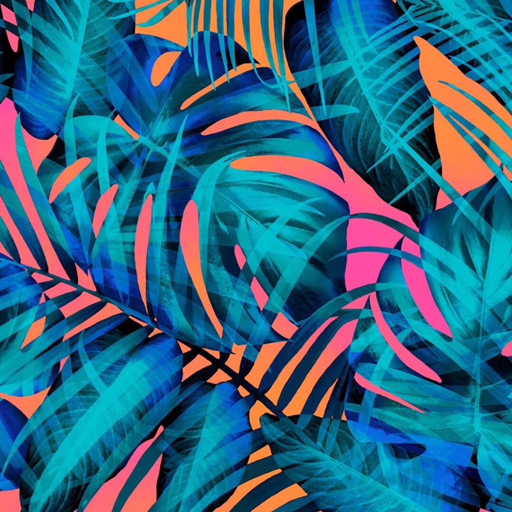 Meet your Posher, Dawni